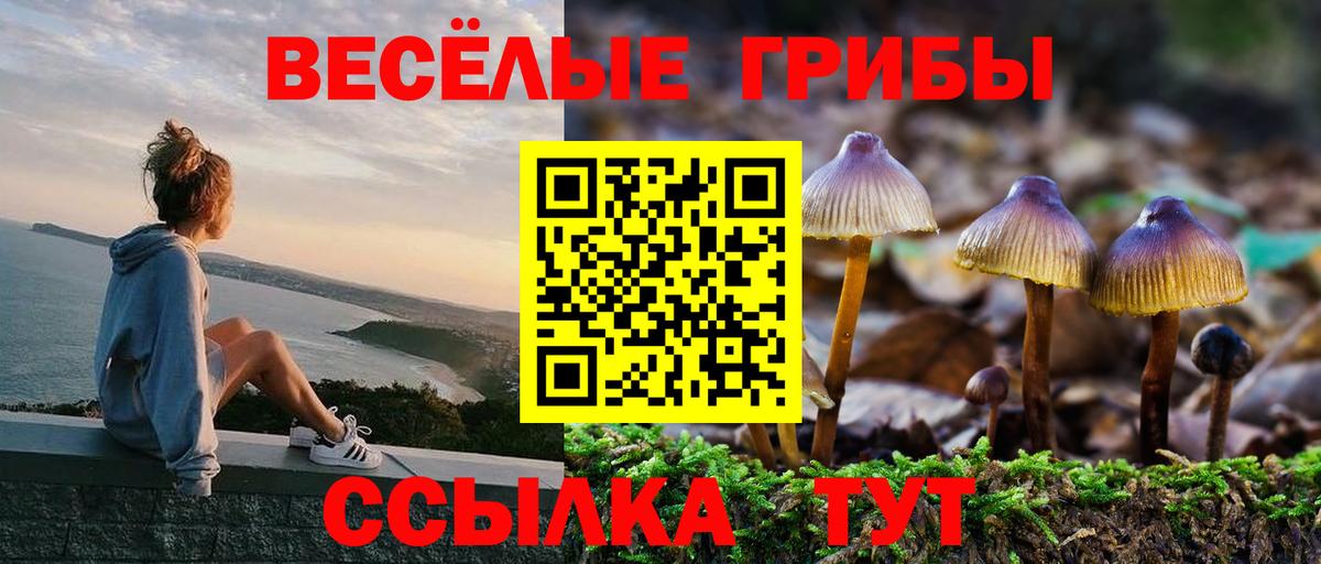 Галлюциногенные грибы мицелий  Вход с VPN  купить наркоту  Ефремов  Галлюциногенные грибы Psilocybe 