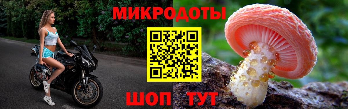 Галлюциногенные грибы Psilocybine cubensis Ефремов